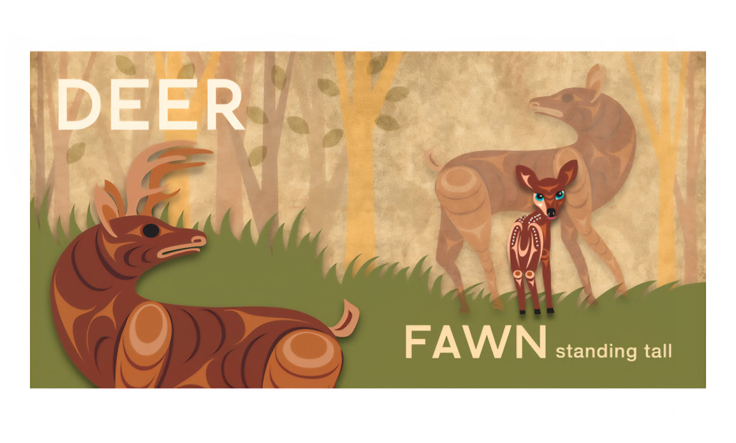Animals and Their Babies - Board Book