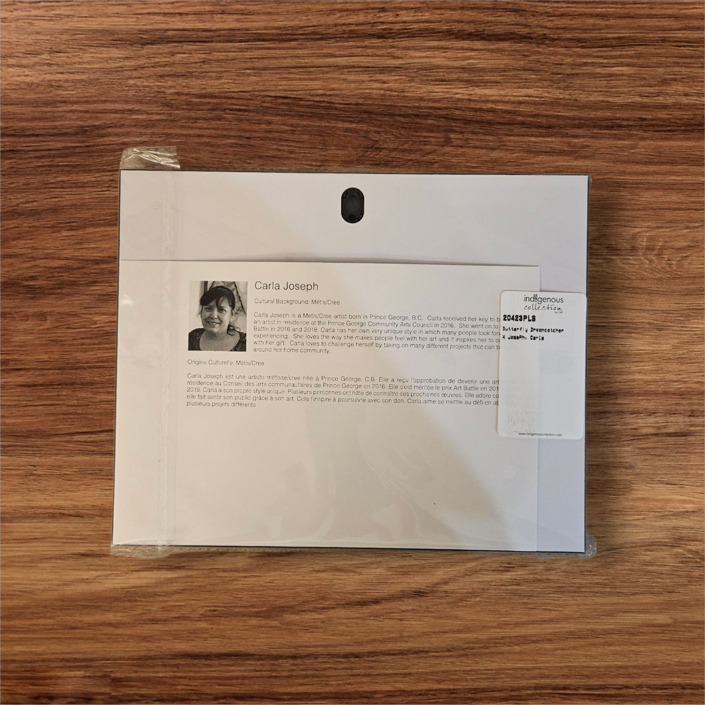 Butterfly Dreamcatcher Art