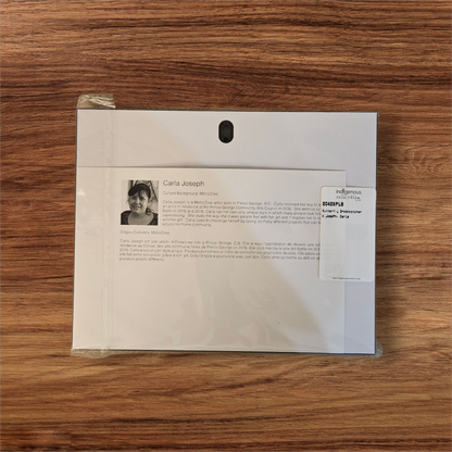 Butterfly Dreamcatcher Art