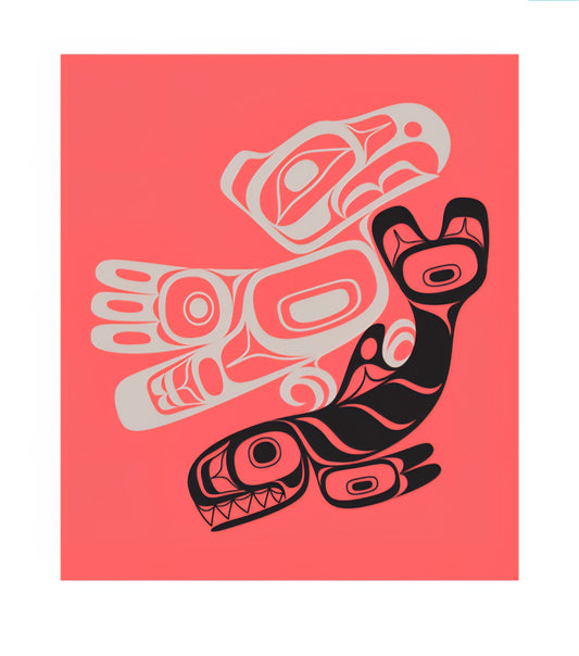 Eco Dish cloth - Thunderbird / Orca