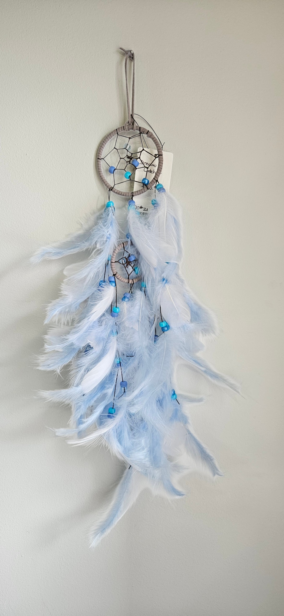 DC #21 Dream Catcher